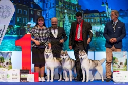 Sindi Klubowa Nordyckich Poznań 8.11.2024